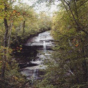 Meet your Posher, Tracie